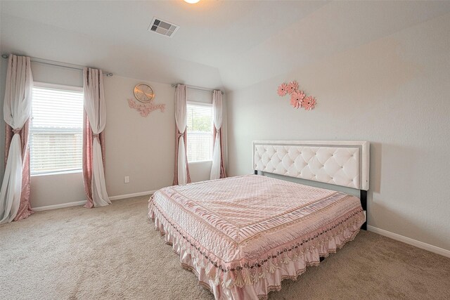 2914 Godric Hollow Ln, Rosenberg, TX 77471 - photo 37