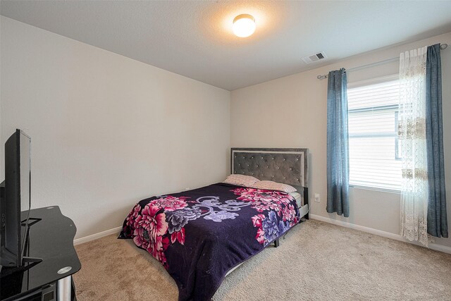 2914 Godric Hollow Ln, Rosenberg, TX 77471 - photo 31