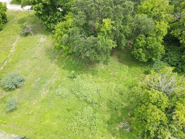 215 2nd Ave N, Texas City, TX 77590 - photo 2