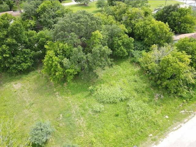 215 2nd Ave N, Texas City, TX 77590 - photo 3