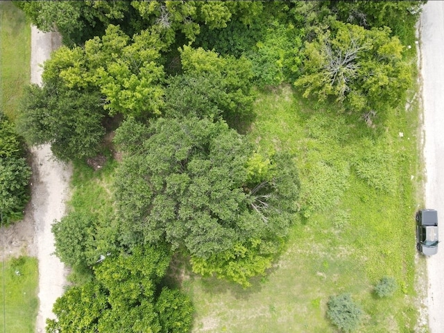 215 2nd Ave N, Texas City, TX 77590 - photo 5