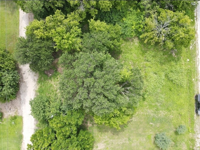 215 2nd Ave N, Texas City, TX 77590 - photo 6