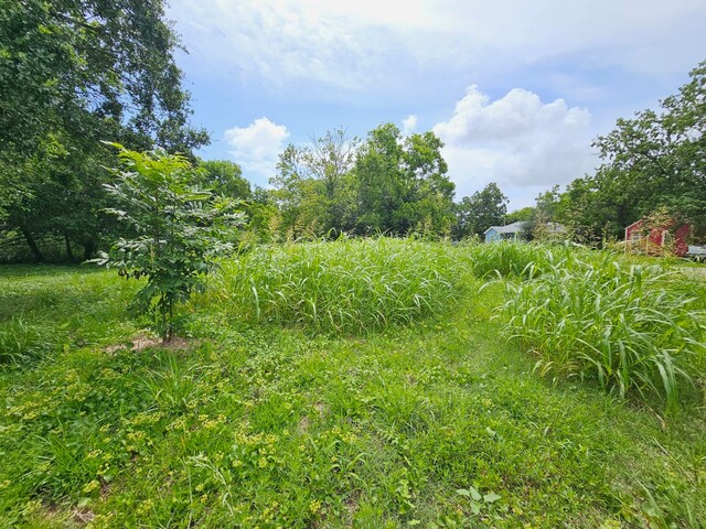 215 2nd Ave N, Texas City, TX 77590 - photo 9