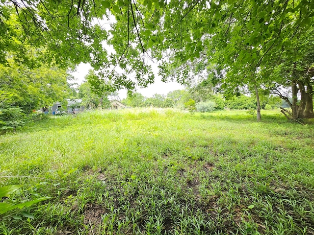 215 2nd Ave N, Texas City, TX 77590 - photo 12
