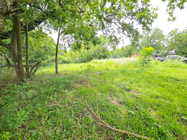 215 2nd Ave N, Texas City, TX 77590 - photo 14