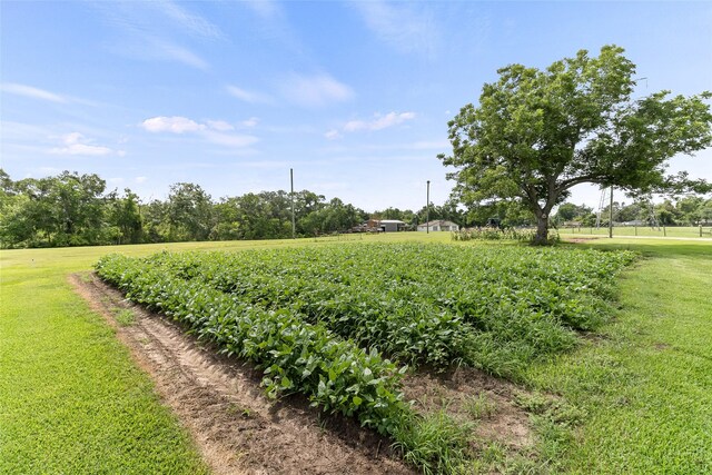 500 E Main St, Clute, TX 77531 - view of green lawn featuring a view of rural / pastoral area