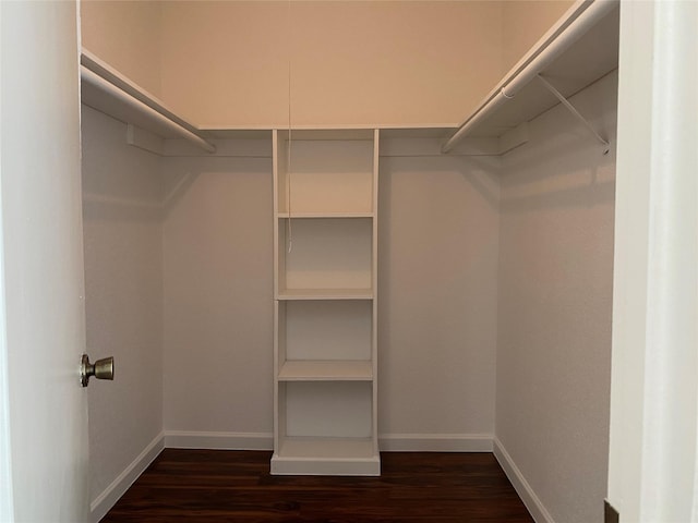 6201 Ranchester Dr Unit 48, Houston, TX 77036 - spacious closet with dark wood-type flooring