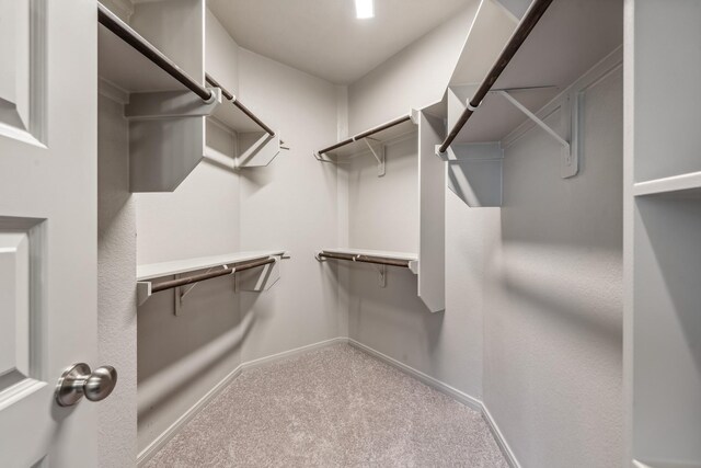 1418 Lake Ridge Dr, Brenham, TX 77833 - spacious closet featuring carpet floors