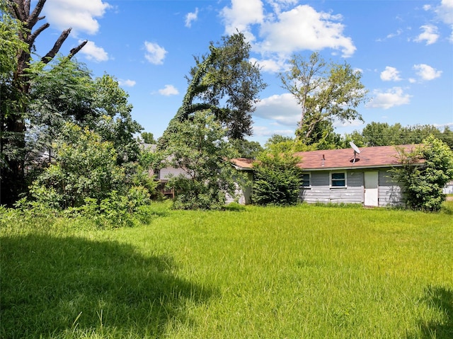 3110 Carter Blvd E, Tyler, TX 75702 - view of yard