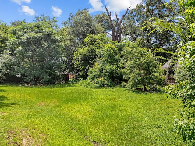 3110 Carter Blvd E, Tyler, TX 75702 - view of yard