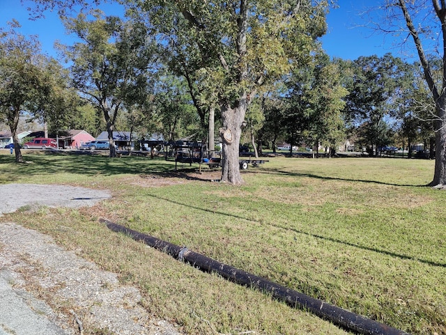 1107 Elberta St, Houston, TX 77051 - photo 4