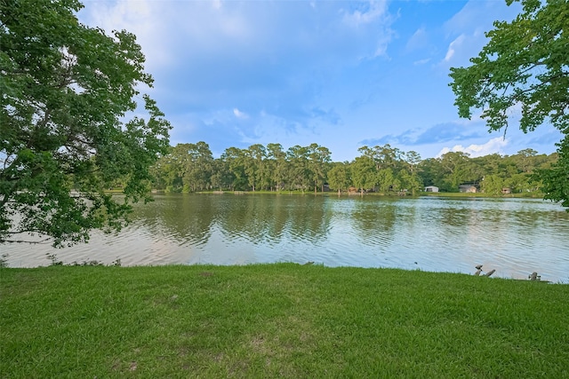 1372 W Pine Lake Cir, Conroe, TX 77316 - photo 38