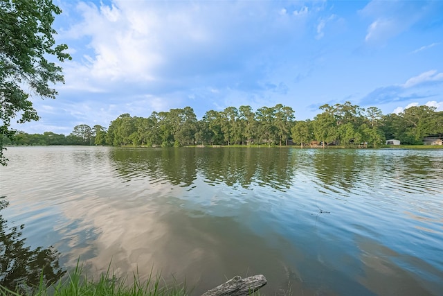 1372 W Pine Lake Cir, Conroe, TX 77316 - photo 39