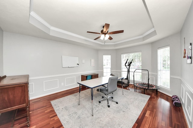 2613 Broussard Ct, Seabrook, TX 77586 - office featuring a raised ceiling, ceiling fan, crown molding, dark wood-type flooring, and a wainscoted wall