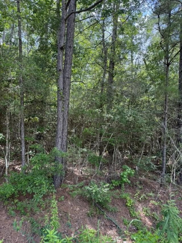 TBD Lakeview Cir, Ivanhoe, TX 75979