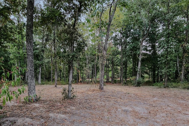 200 Laurel, Onalaska, TX 77360