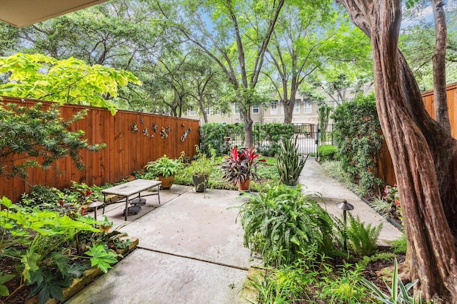 5109 Feagan St, Houston, TX 77007 - photo 5