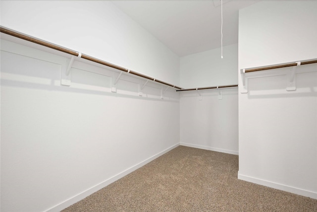 31638 Farlam Farms Trl, Fulshear, TX 77441 - walk in closet featuring carpet flooring and attic access