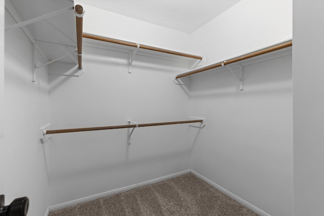29222 Waltham St, Spring, TX 77386 - spacious closet with carpet flooring
