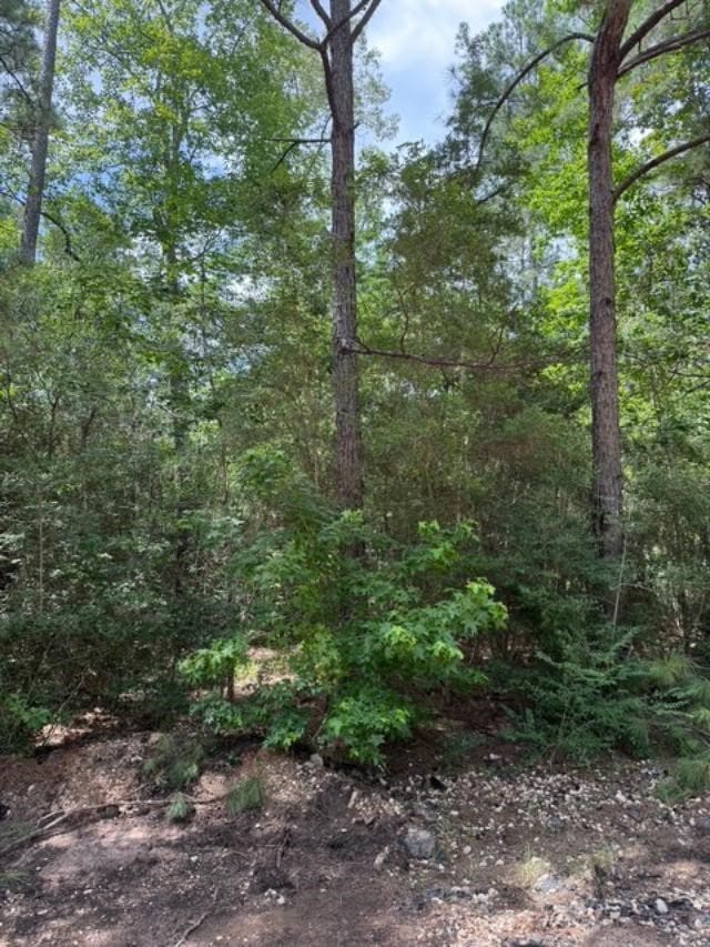 TBD 21st St, Ivanhoe, TX 75979