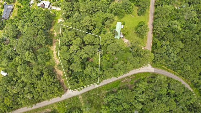 TBD 21st St, Ivanhoe, TX 75979 - photo 5