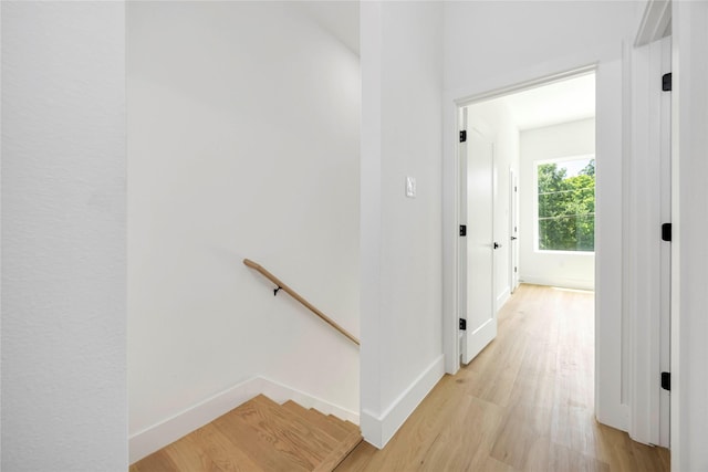 7129 Sidney St A-B, Unit A-B Houston, TX 77021 - photo 17