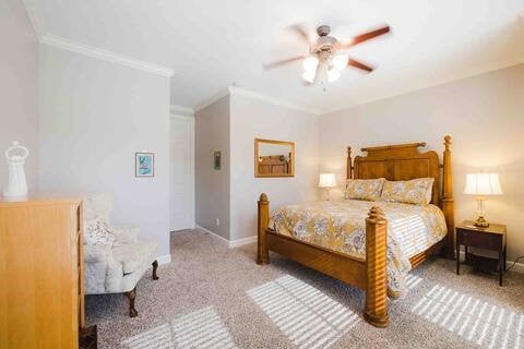 1616 Southmore Blvd, Houston, TX 77004 - bedroom with crown molding, carpet floors, and ceiling fan
