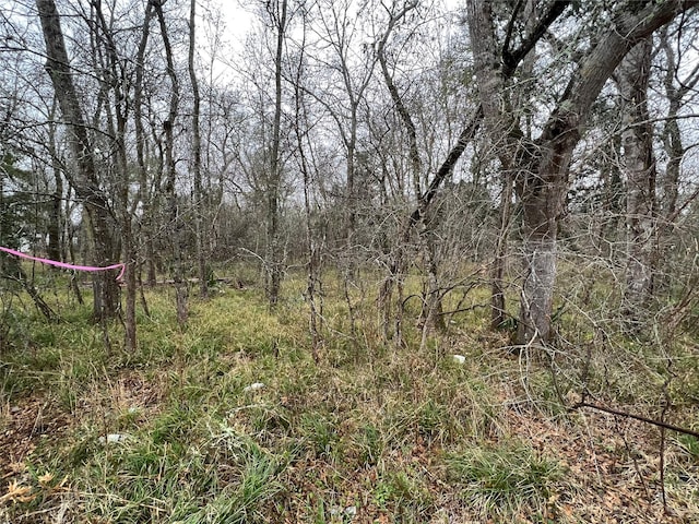 0 Greenmont Dr, Guy, TX 77444
