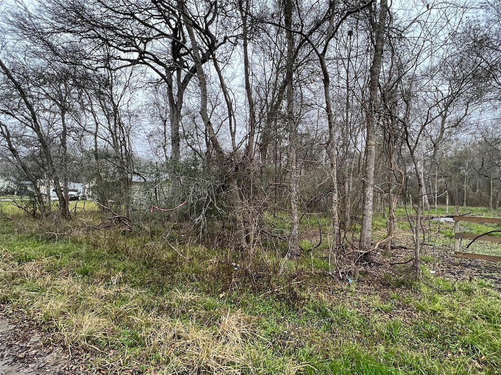 0 Lost Forest Dr, Guy, TX 77444 - photo 1