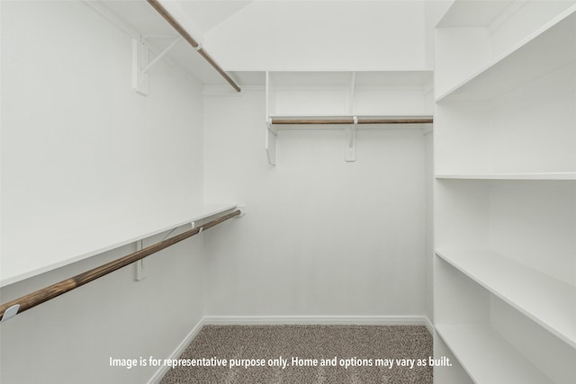 1462 Lake Ridge Dr, Brenham, TX 77833 - walk in closet with carpet