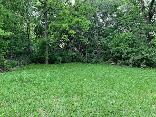 1815 Parker Rd, Houston, TX 77093 - view of yard featuring a forest view