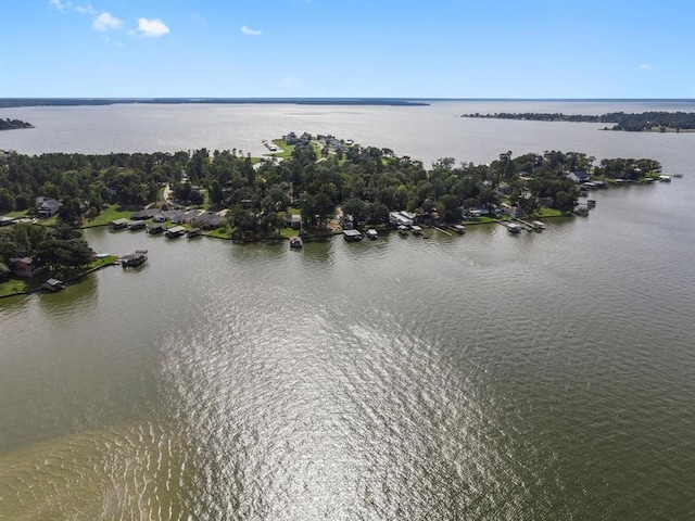 20 W Oakridge Dr, Point Blank, TX 77364 - photo 17