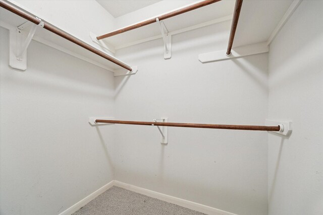 2016 Fairwood St, Pearland, TX 77581 - spacious closet with carpet flooring