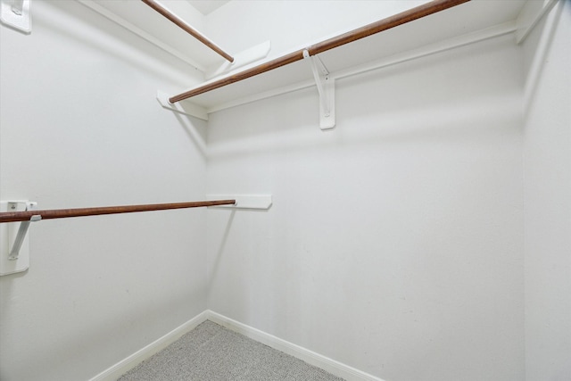 2016 Fairwood St, Pearland, TX 77581 - spacious closet featuring carpet