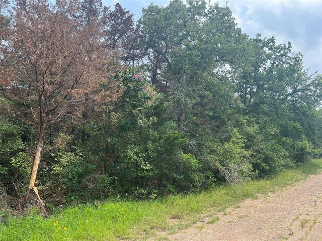 0 Dan, Somerville, TX 77879 - photo 2