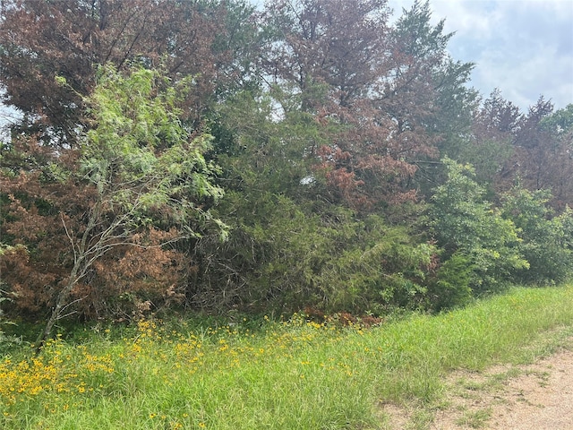 0 Dan, Somerville, TX 77879 - photo 3