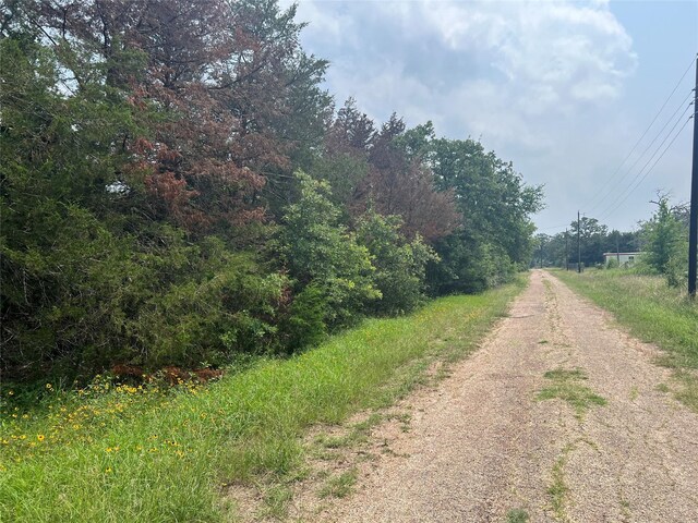 0 Dan, Somerville, TX 77879 - photo 4