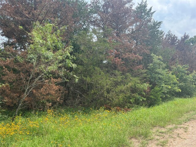 0 Dan, Somerville, TX 77879 - photo 6