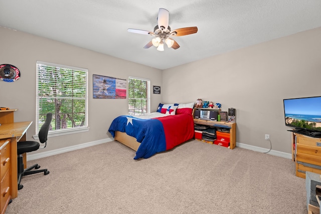 15 Bank Birch Pl, The Woodlands, TX 77381 - photo 25