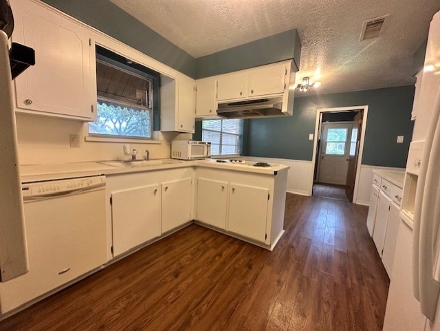 1215 Briar Ln, Wharton, TX 77488 - kitchen featuring white dishwasher, under cabinet range hood, dark wood-style floors, white cabinetry, and a textured ceiling