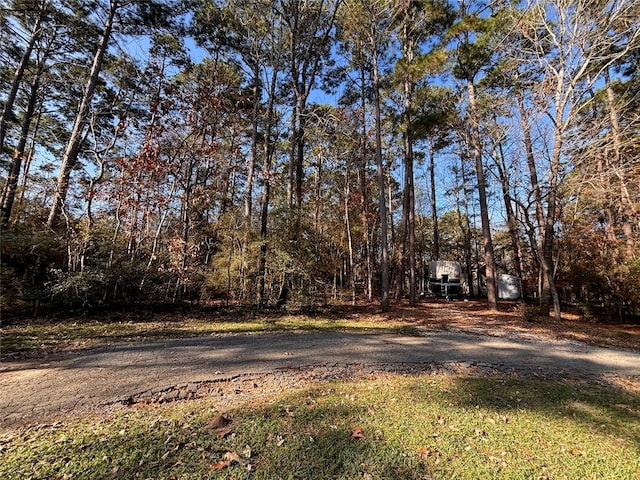 TBD N Fairway Loop, Coldspring, TX 77331