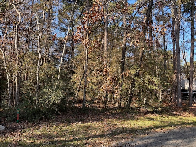 TBD N Fairway Loop, Coldspring, TX 77331