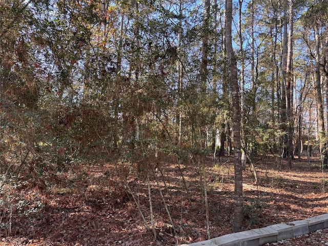 TBD N Fairway Loop, Coldspring, TX 77331