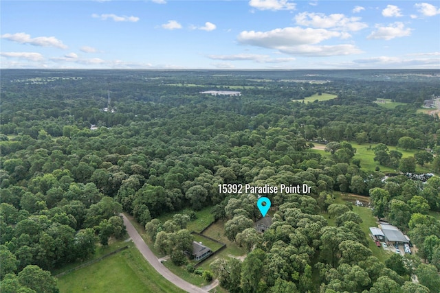 15392 Paradise Point Dr, Willis, TX 77318 - photo 33