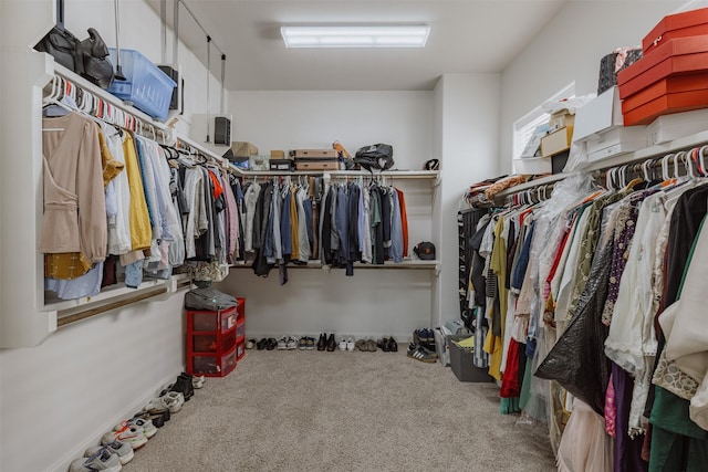 1207 W 25th St, Houston, TX 77008 - spacious closet with carpet floors