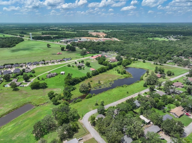 1776 Lazy U Dr, Canton, TX 75103 - photo 33