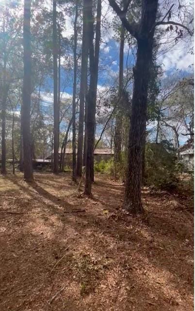 157 Honeysuckle, Livingston, TX 77351 - view of yard