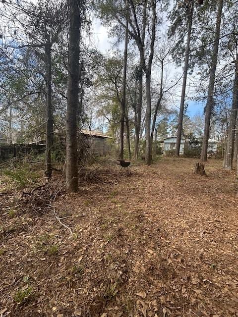 157 Honeysuckle, Livingston, TX 77351 - view of yard