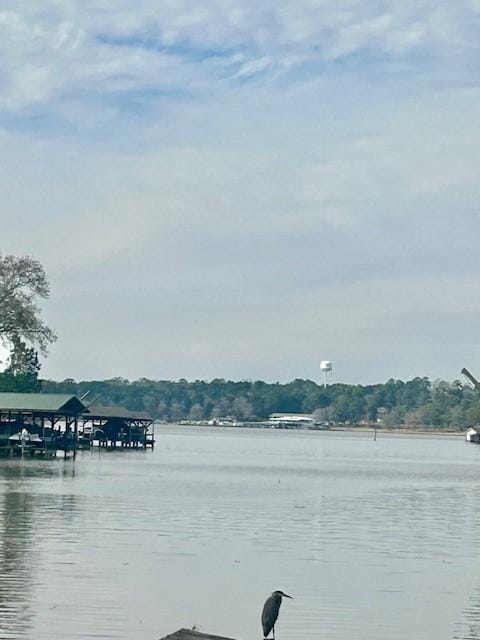 157 Honeysuckle, Livingston, TX 77351 - water view