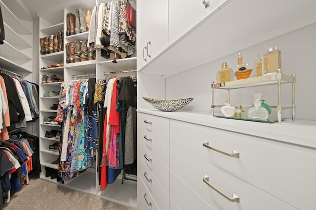 13305 Newcastle Creek Ct, Houston, TX 77059 - walk in closet with carpet flooring